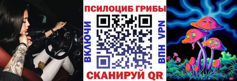 дарк нет наркотические препараты  Богородицк  Псилоцибиновые грибы Cubensis  где продают  