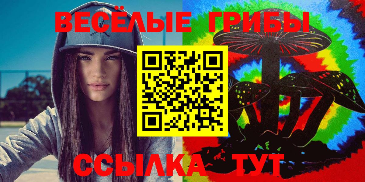 Псилоцибиновые грибы Psilocybine cubensis  Псилоцибиновые грибы прущие грибы  дарнет шоп  Богородицк  Вход с VPN 