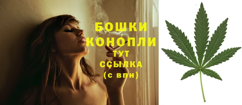 mega   сколько стоит  Богородицк  Каннабис SATIVA & INDICA 